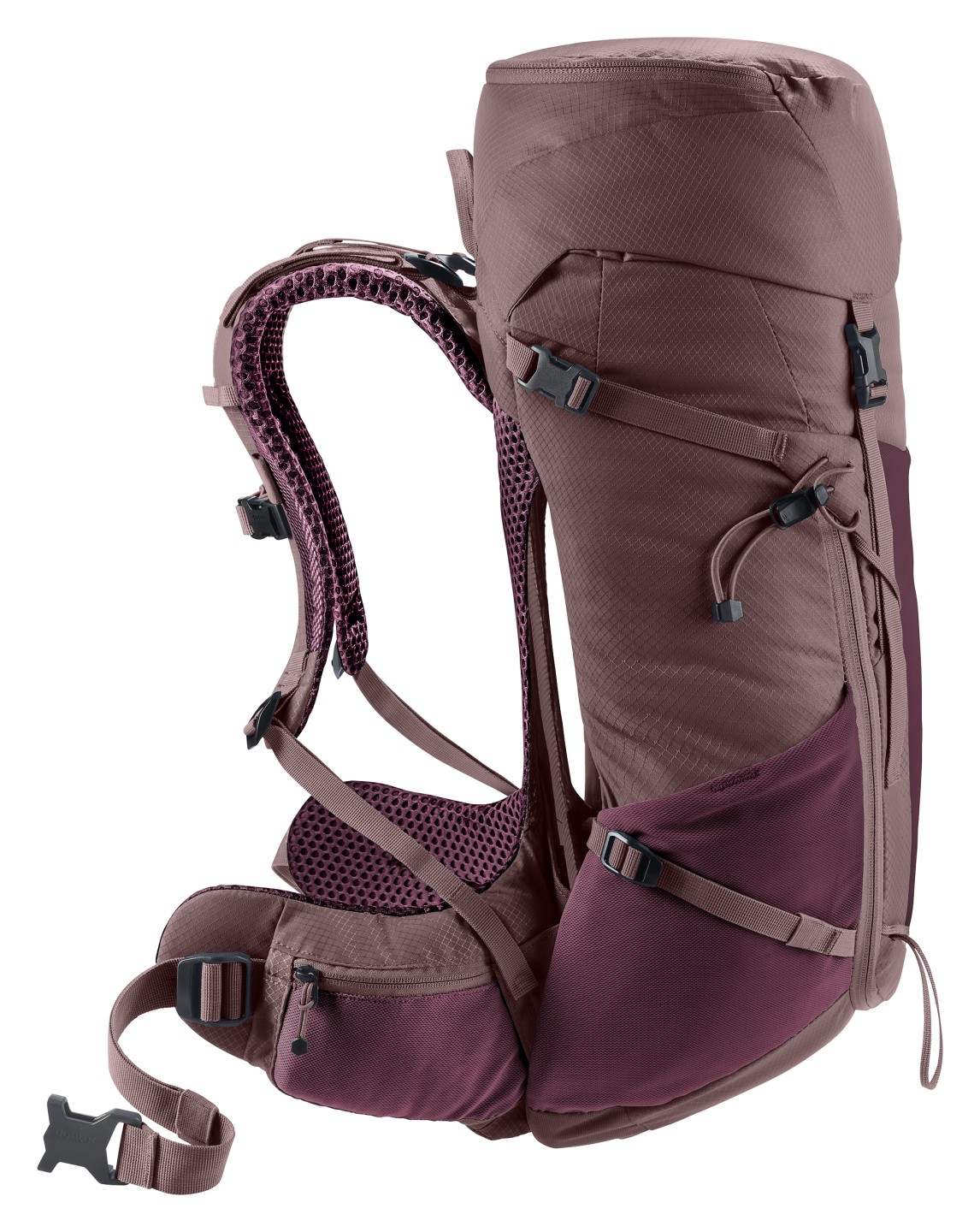 deuter Wandelrugzak Futura 24 SL – Dames – Paars — 7 van 13